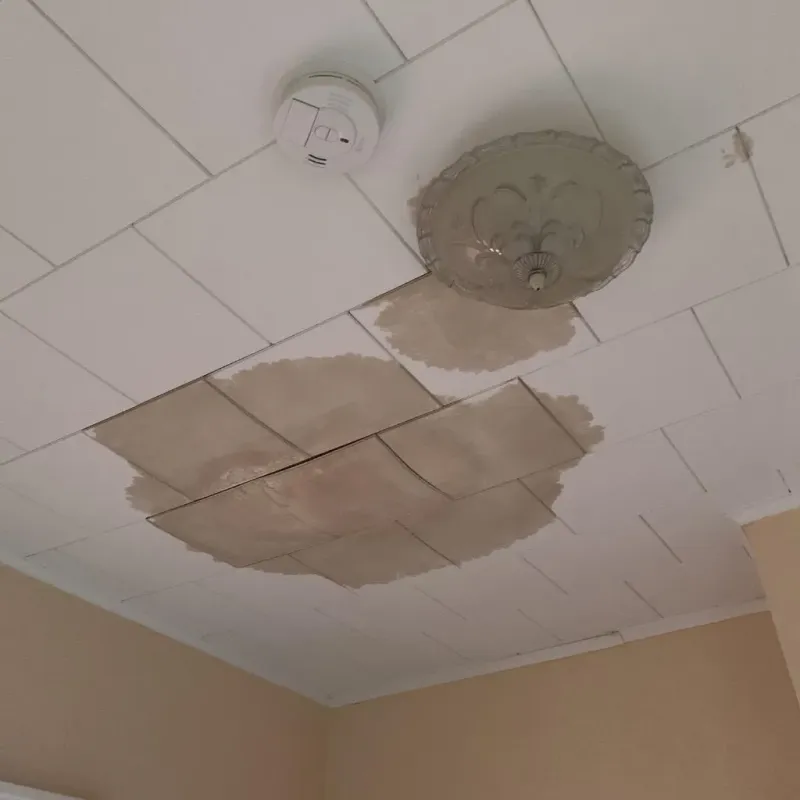 Ceiling Water Damage Repair in Jacksonville, AL